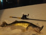 IMG_20231212_221811.jpg