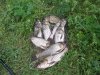 100_3962.jpg