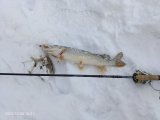 IMG_20231228_100126_626.jpg