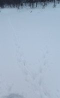 20240111_093126.jpg