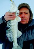 IMG_20240120_192941_317.jpg