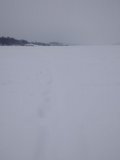 IMG_20240126_111510.jpg