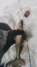 IMG-20240126-WA0033.jpeg