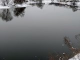 20240127_114502.JPG