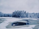 IMG_6353.jpeg