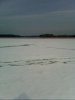 IMG0387A.jpg