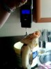 IMG0391A.jpg