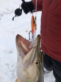 IMG_2834.jpeg