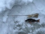 IMG_9853.jpg