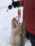 IMG_2836.jpeg
