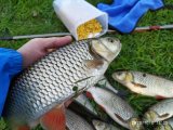 IMG_20201004_153520.jpg
