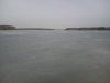 DSC00768.jpg