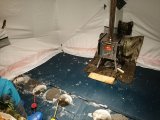 IMG_20240202_230229_compress65.jpg