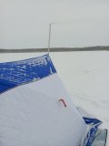 IMG_20240203_154749_191.jpg