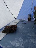 IMG_20240203_154846_440.jpg