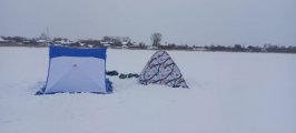 IMG-20240203-WA0001.jpg