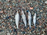20210613_163222.jpg