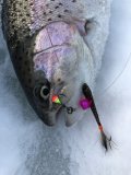 IMG_3068.jpeg