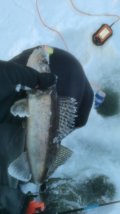IMG-20240211-WA0005.jpeg