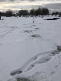 IMG_3132.jpeg