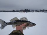 IMG_20240212_120545.jpg