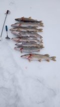 IMG_20240213_132029.jpg