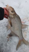 IMG-20240212-WA0011.jpeg