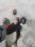IMG_20240216_095934.jpg