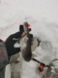 IMG_20240216_095310.jpg