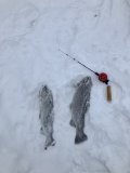 IMG_1633.jpeg