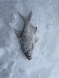IMG_9116.jpeg