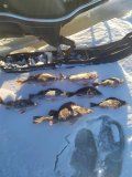 IMG_20240219_161948.jpg