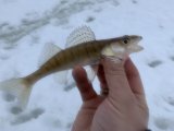 IMG_7702.jpeg