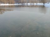 20240302_093230.JPG 20240302_093230.JPG