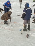 IMG_20240309_083620.jpg