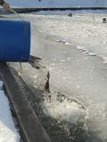 IMG_20240310_102804.jpg