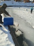 IMG_20240310_102943.jpg