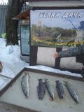 IMG_20240310_164529_1.jpg