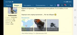 Screenshot_20240313_083027_com.yandex.browser.jpg