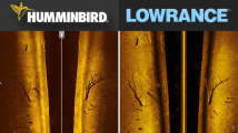 Lowrance or Humminbird.png