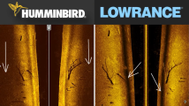 Lowrance or Humminbird-1.png