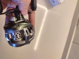 IMG_20240314_081051.jpg