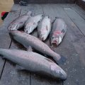 IMG_20240315_182032.jpg