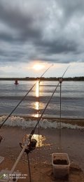 IMG_20230725_200244.jpg