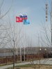 DSCN9965.jpg