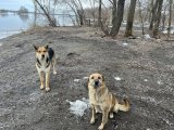 IMG_3721.jpeg
