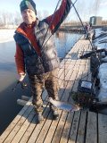 IMG-20240330-WA0008.jpg