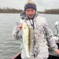 IMG_20221108_060100_307.jpg