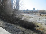 IMG_2184.JPG