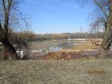 IMG_2186.JPG